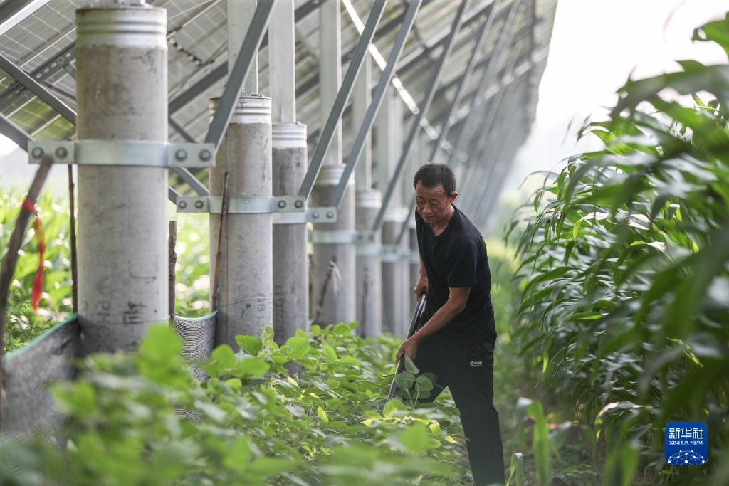 娱乐平台登录入口